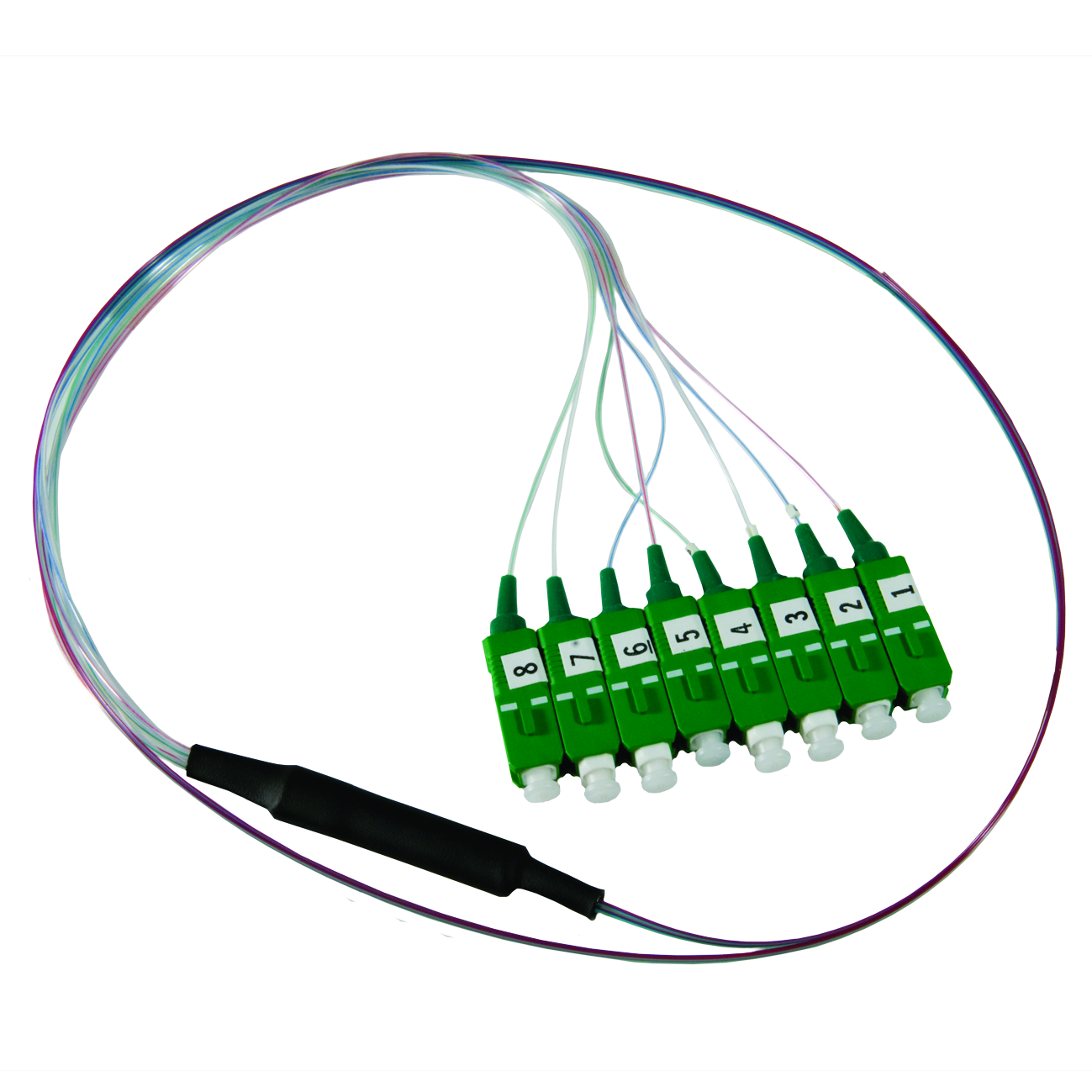 FAN-OUT 8SM SC/APC .