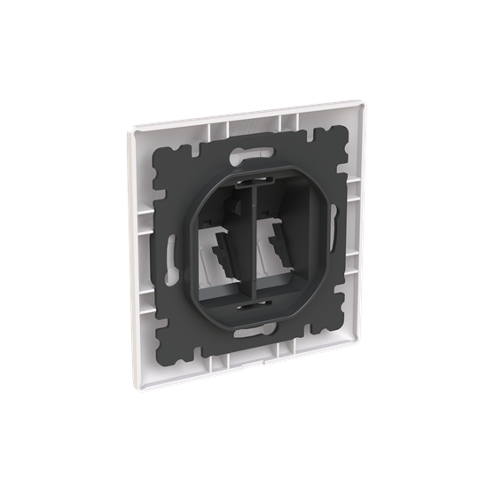 abb Saga data innf for 2 x rj45 m/ramme