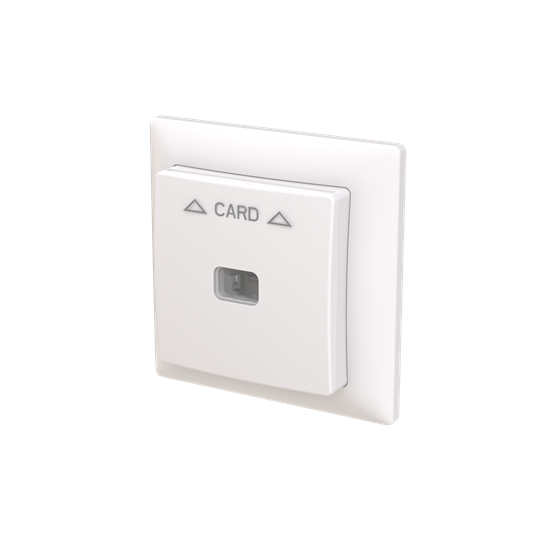 abb Saga kortbryter 2-pol m/ramme