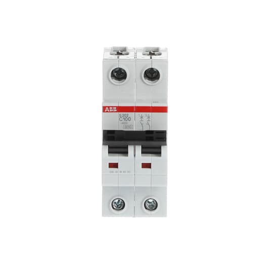 abb Automat s202-c100