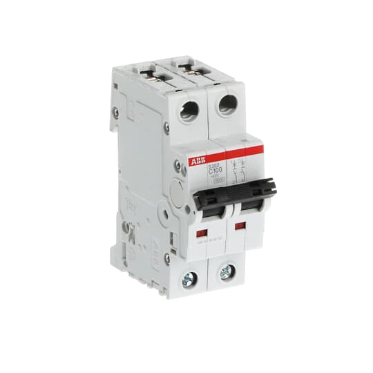 abb Automat s202-c100