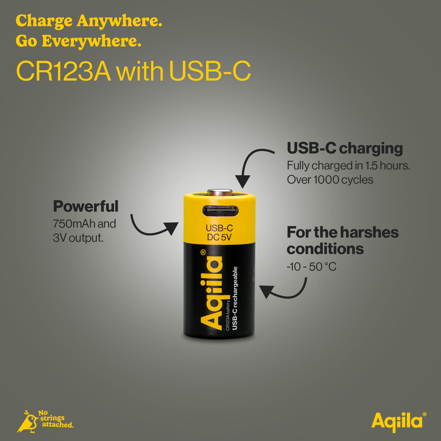 gpbm nordic Batteri lithium oppladbart cr123a 2p