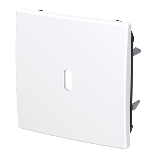 abb Saga® sentralplate for usb-c pd lader 6479-916-510