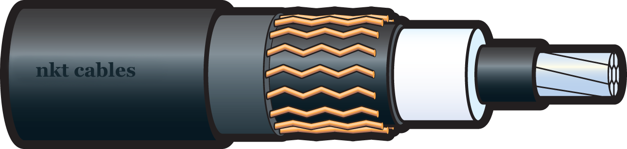 AXCE 1X95/25 LT 24KV