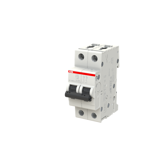 abb Johdonsuojakatkaisija stotz s202-z4 2-nap z 4a
