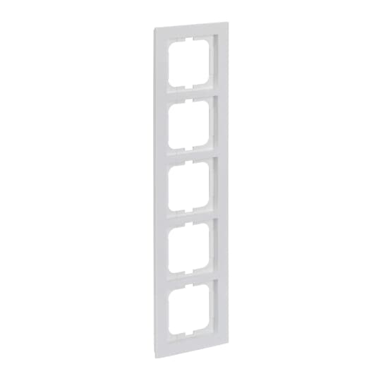 abb Cover frame 1725-2845gang