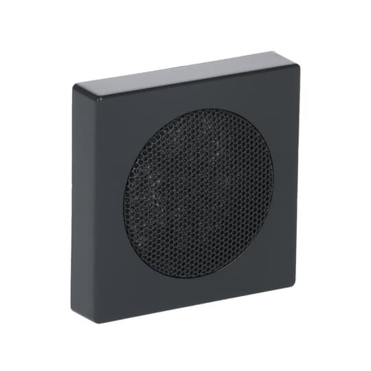 abb Av-equipment cover plate loudspeaker