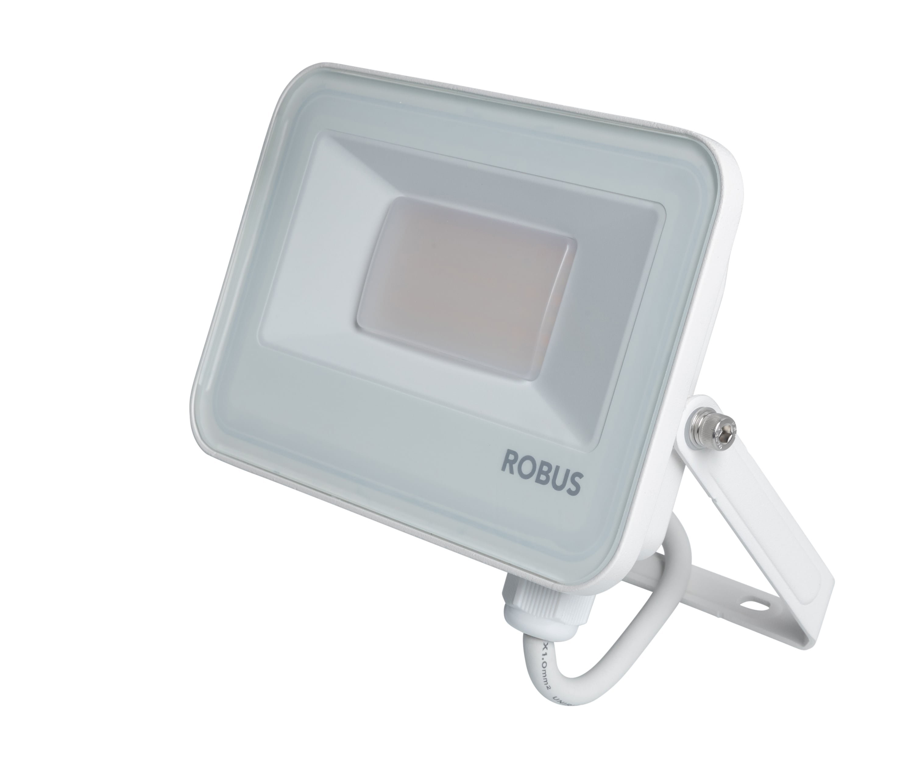 PROZEKTOR SELEST PLUS 10/20W CCT3 IP65 VALGE