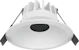 aneta lighting Styx hvit downlight med sort rast