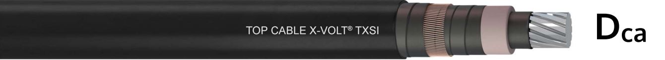 TSXI 24kV 1x1000/50 A Dca