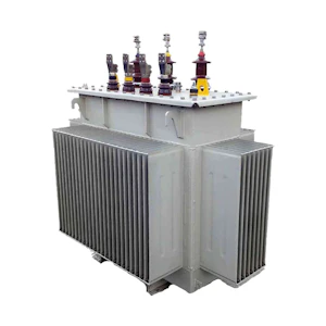 sse Distribution transformer sse 100 kva 20.5/1 kv