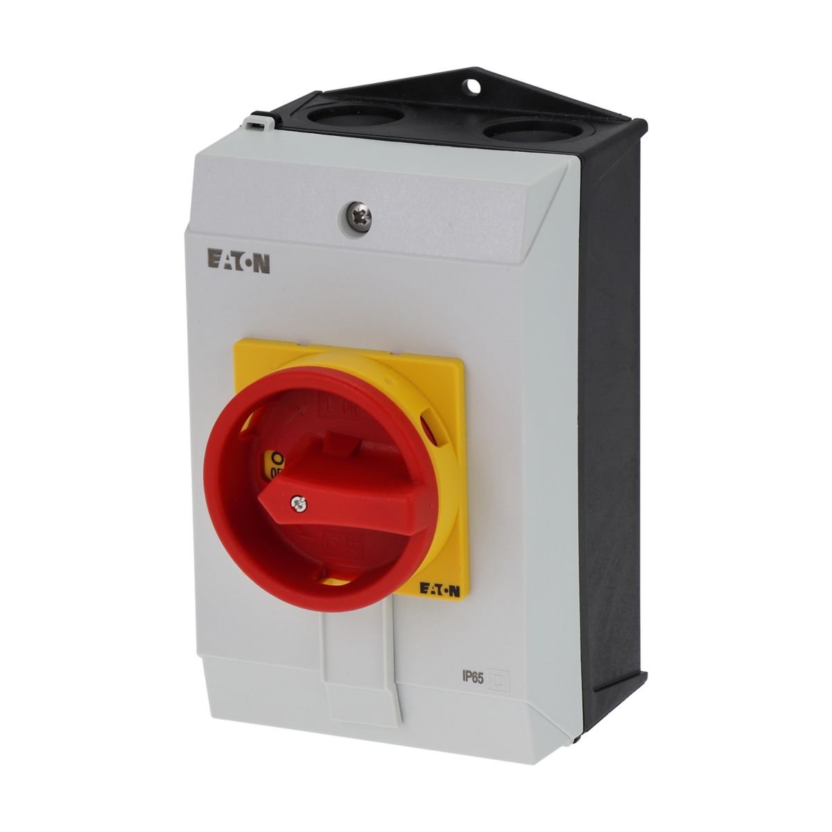 Kapslet sikkerhetsbryter P1-40/I2/SVB/HI11