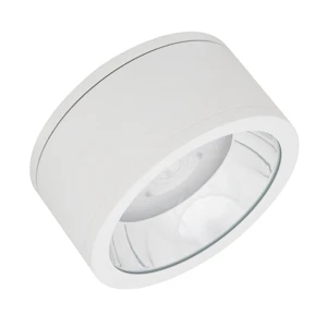 ledvance Downlight dl surface ip65 dl sf ip65 dn250 45w/840 36d w