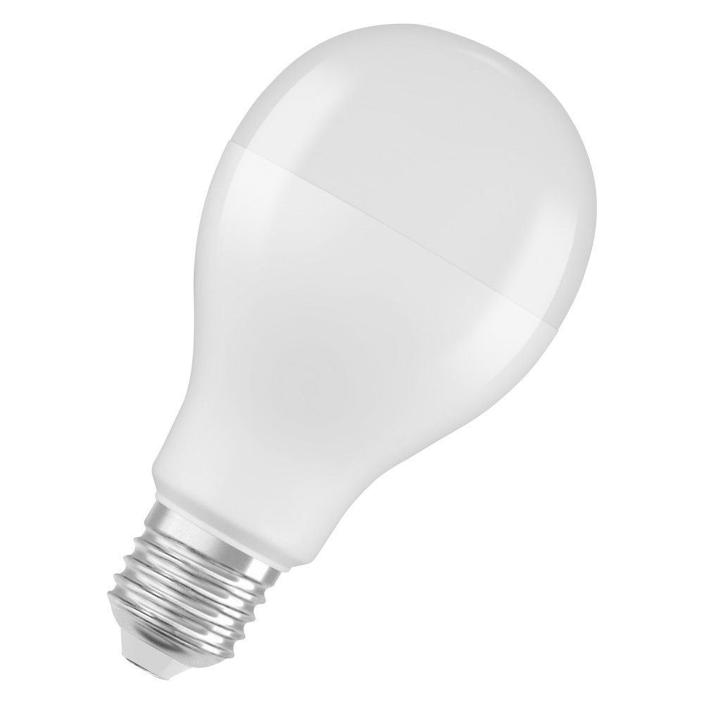 LEEDLAMP KLASSIK PERFORMANCE A65 19W 827 2452lm E27 OPAAL