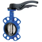 PUSPAGRIEZIENA VĀRSTS DN80 AISI316 DISKS EPDM