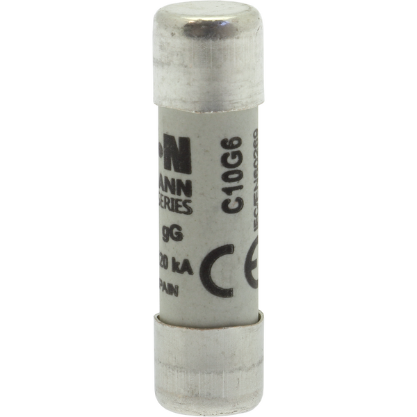 SULAVKAITSE 10 x 38mm 6A GG 500VAC