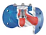 ari Check valve ari pn40 dn80 l/l gs-c25n 35.003