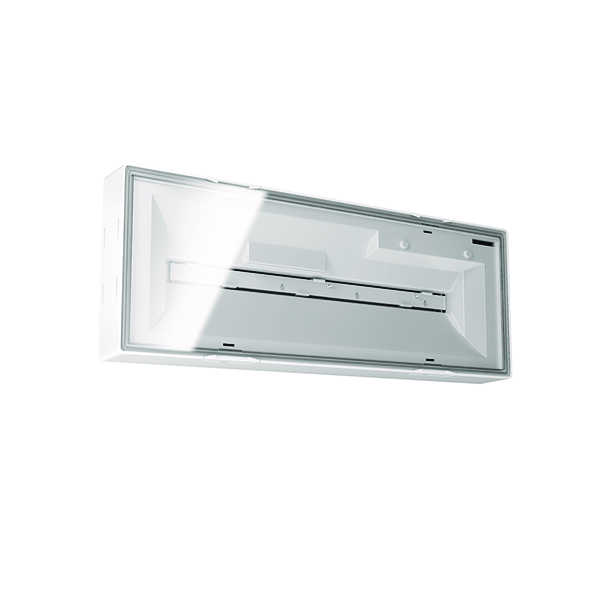 ELX EL LED 3h/8h IR SC SM