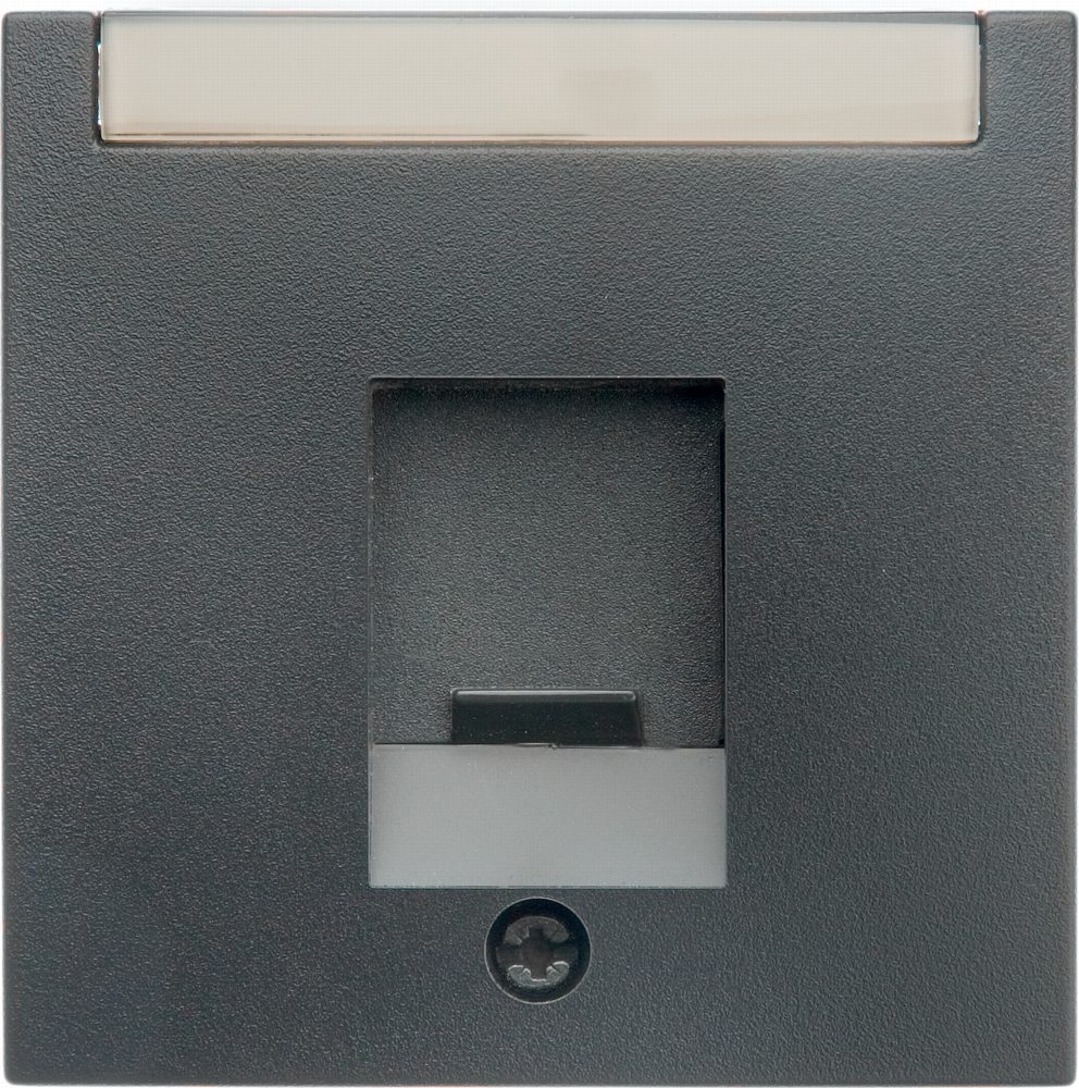 CENTRUMBRICKA 1f för 4540xx ANT