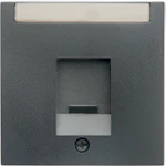 CENTRUMBRICKA 1f för 4540xx ANT